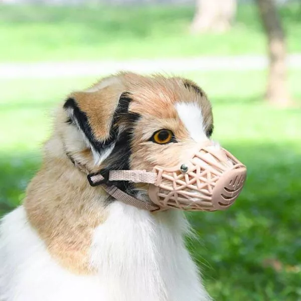 Műanyag szájkosár kutyának